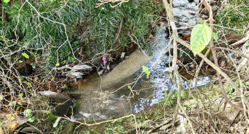 Córrego Tanquinho: a nascente na região central de Botucatu e os desafios da preservação ambiental Córrego Tanquinho: a nascente na região central de Botucatu e os desafios da preservação ambiental
