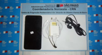 Celulares, cartões, ímãs, pinças e até cílios postiços são apreendidos em penitenciárias da região Celulares, cartões, ímãs, pinças e até cílios postiços são apreendidos em penitenciárias da região