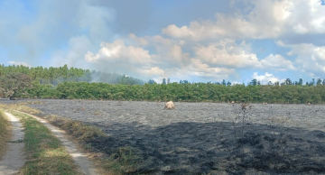 Incêndio consome grande área de mata no bairro da Mina em Botucatu Incêndio consome grande área de mata no bairro da Mina em Botucatu