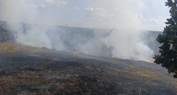 Incêndio atinge grande área de mata no Árvore Grande em Botucatu