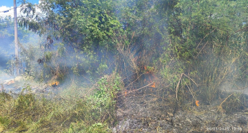 Incêndio atinge área de mata na região do Shopping em Botucatu Incêndio atinge área de mata na região do Shopping em Botucatu