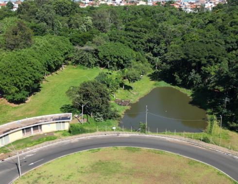 Conselho de Políticas para Mulheres promove manhã especial no Parque Municipal em celebração ao Dia da Mulher