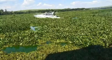 Rio Tietê: embarcações são resgatadas após problemas com a quantidade de aguapés