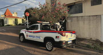 Botucatu 624 casos confirmados de dengue e prefeitura intensifica ações Botucatu 624 casos confirmados de dengue e prefeitura intensifica ações