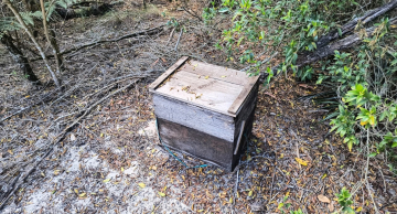 Operação policial flagra apiários ilegais em Itatinga