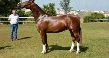 DNA da Facilpa segue neste ano com diversas exposições