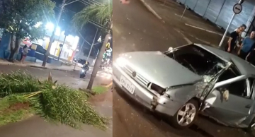 Carro bate em coqueiro e fica destruído na Avenida Vital Brasil em Botucatu