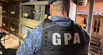 GCM identifica local usado como rinha de galo em Botucatu