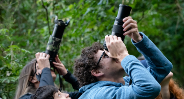 28 de abril: Botucatu voa alto no Dia do Observador de Aves