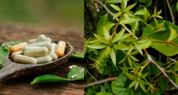 Anvisa proíbe suplementos alimentares com ora-pro-nóbis