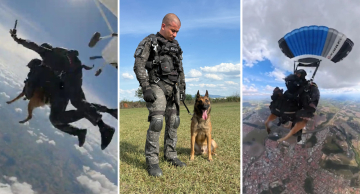 Cão da PM faz 1º salto de paraquedas em treino tático em SP Cão da PM faz 1º salto de paraquedas em treino tático em SP
