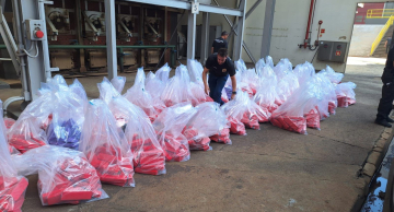 Polícia Civil de Botucatu incinera mais de 1,5 tonelada de drogas apreendidas em operações