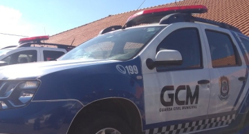 GCM de São Manuel contém cães agressivos soltos em via pública e evita acidentes GCM de São Manuel contém cães agressivos soltos em via pública e evita acidentes