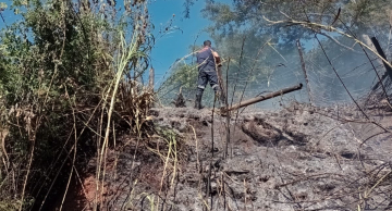 Incêndio atinge área às margens da Rondon em Botucatu