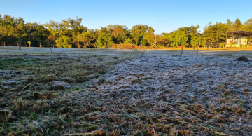 Muito frio: Botucatu registra geada na manhã desta sexta-feira (30)