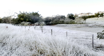 O que é geada? Entenda como ela se forma
