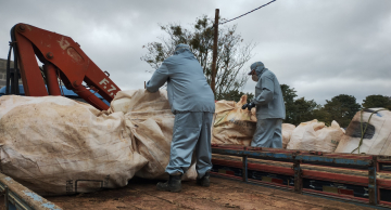Agricultura de Botucatu recolhe mais de 1.000 embalagens de agrotóxicos Agricultura de Botucatu recolhe mais de 1.000 embalagens de agrotóxicos
