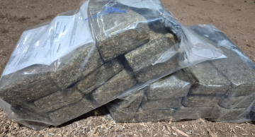 Polícia Civil incinera 87 quilos de drogas apreendidas na região de Botucatu