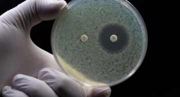 Unesp Botucatu realiza pesquisa sobre resistência a antimicrobianos e percepção do público Unesp Botucatu realiza pesquisa sobre resistência a antimicrobianos e percepção do público
