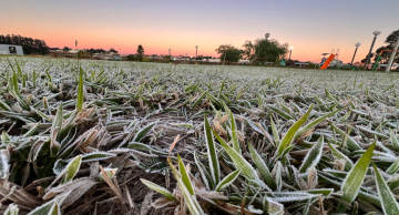 Botucatu amanhece com geada após a madrugada mais fria dos últimos anos