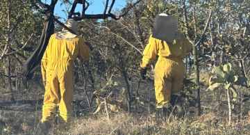 Incêndio em mata próxima ao Hospital Dia mobiliza Bombeiros e Defesa Civil em Botucatu Incêndio em mata próxima ao Hospital Dia mobiliza Bombeiros e Defesa Civil em Botucatu