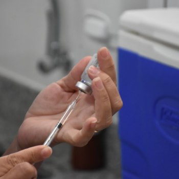 Confira os locais do Dia D de vacinação contra gripe e dengue em Botucatu neste sábado (28)