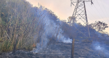 Bombeiros e Defesa Civil controlam focos de incêndio em diferentes regiões de Botucatu