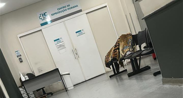 Sem leitos: gestantes passam a noite em cadeiras na Maternidade do HC de  Botucatu Sem leitos: gestantes passam a noite em cadeiras na Maternidade do HC de  Botucatu