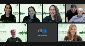 Evento promovido pelo IBB da Unesp discute conservação e biodiversidade de tubarões e raias