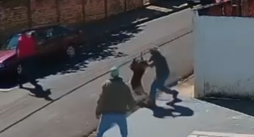 Homem é ferido ao tentar conter ataque de cão no Distrito de Rubião Júnior