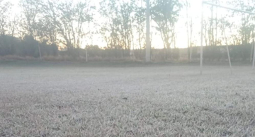 Pontos na zona rural de Botucatu amanhecem com geada Pontos na zona rural de Botucatu amanhecem com geada