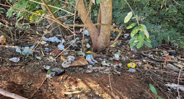 Quatis invadem residências, espalham lixo e causam transtornos em Bairros de Botucatu