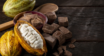 Dia Mundial do Chocolate: conheça a história e dicas para um consumo mais saudável Dia Mundial do Chocolate: conheça a história e dicas para um consumo mais saudável