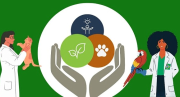 FMVZ/Unesp oferece Escola de Inverno para alunos do ensino médio de Botucatu