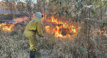Vários focos de incêndio são registrados em Botucatu nesta sexta-feira (22)