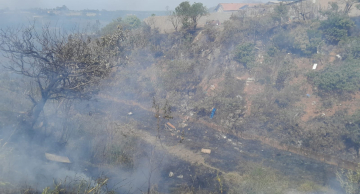Incêndio atinge área de vegetação em Rubião Junior Incêndio atinge área de vegetação em Rubião Junior