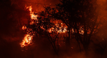 Provocar incêndios é crime e dá cadeia; veja as legislações Provocar incêndios é crime e dá cadeia; veja as legislações