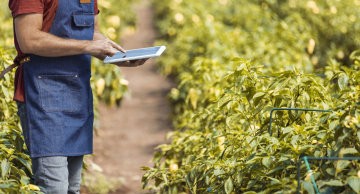 Sebrae-SP abre inscrições para programa gratuito de inovação rural na região de Botucatu