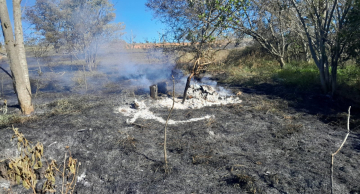 Incêndio atinge Área de Proteção Permanente (APP) em Botucatu Incêndio atinge Área de Proteção Permanente (APP) em Botucatu