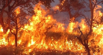 Incêndio atinge área na Avenida Alcides Cagliari em Botucatu Incêndio atinge área na Avenida Alcides Cagliari em Botucatu