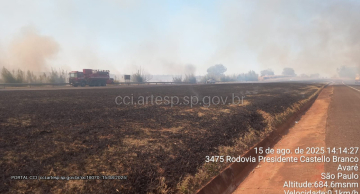 Incêndio em vegetação causa acidente e interdição na Castello Branco Incêndio em vegetação causa acidente e interdição na Castello Branco