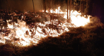 Forte incêndio mobiliza equipes na Marechal Rondon, em Botucatu Forte incêndio mobiliza equipes na Marechal Rondon, em Botucatu