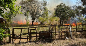 Incêndio atinge área de mata entre a Cecap e Vila Sônia em Botucatu