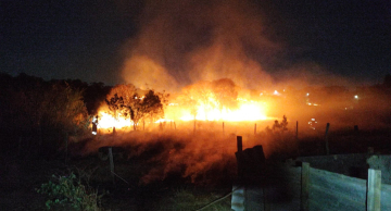 Incêndio atinge Parque dos Pinheiros na noite de quarta-feira (03) Incêndio atinge Parque dos Pinheiros na noite de quarta-feira (03)