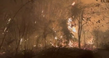 Incêndio atinge área na região do rio Araquá em Botucatu; veja vídeos
