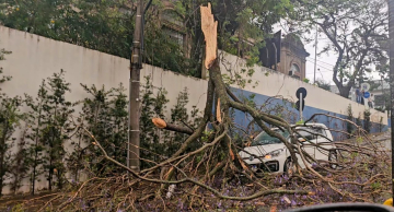 Tempestade com fortes ventos causa transtornos em Botucatu Tempestade com fortes ventos causa transtornos em Botucatu