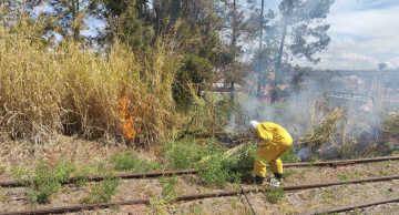 Incêndio atinge área próxima ao Elevado Bento Natel em Botucatu