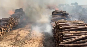 Incêndio atinge área com depósito de madeira em Botucatu Incêndio atinge área com depósito de madeira em Botucatu