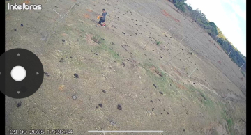 Homem é preso em flagrante após furtar roçadeira em propriedade rural de Botucatu