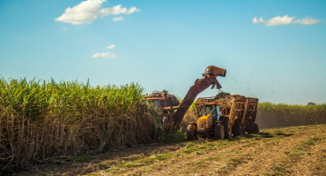 Agro paulista tem superávit de mais de US$ 14 bilhões no ano Agro paulista tem superávit de mais de US$ 14 bilhões no ano
